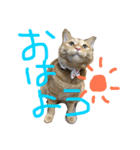 ムギムギライフ（個別スタンプ：10）