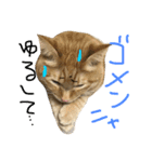 ムギムギライフ（個別スタンプ：13）