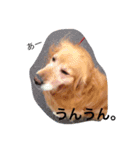 HINANO.T.（個別スタンプ：2）