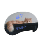 tarokomu（個別スタンプ：5）