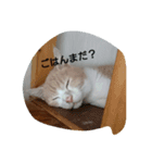 tarokomu（個別スタンプ：8）