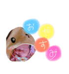 ゆきのん日和（個別スタンプ：12）
