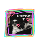 BlackWhite11.22（個別スタンプ：5）