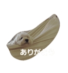 平和な1日（個別スタンプ：5）