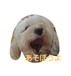 平和な1日（個別スタンプ：7）
