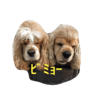 大好き Taro ＆ Kenta（個別スタンプ：1）
