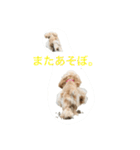 大好き Taro ＆ Kenta（個別スタンプ：28）