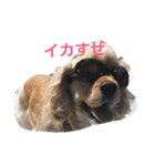 大好き Taro ＆ Kenta（個別スタンプ：31）