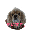 大好き Taro ＆ Kenta（個別スタンプ：33）