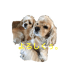 大好き Taro ＆ Kenta（個別スタンプ：36）