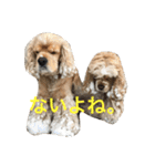 大好き Taro ＆ Kenta（個別スタンプ：39）