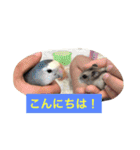 conditioner（個別スタンプ：2）