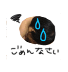 いつきあおい（個別スタンプ：15）