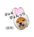 むぎときなこ 2（個別スタンプ：3）