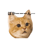 むぎときなこ 2（個別スタンプ：4）
