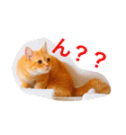 むぎときなこ 2（個別スタンプ：5）