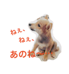 むぎときなこ 2（個別スタンプ：8）