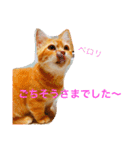 むぎときなこ 2（個別スタンプ：11）