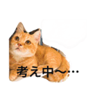 むぎときなこ 2（個別スタンプ：12）