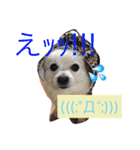 にゃにゃ！（個別スタンプ：3）