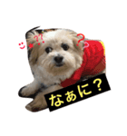 にゃにゃ！（個別スタンプ：5）