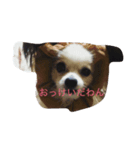 こばちゃんず（個別スタンプ：2）