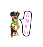 ヤル気のない犬（個別スタンプ：1）