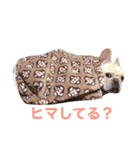 肉かつらおじさん♂さくらの日常③（個別スタンプ：5）