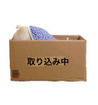 肉かつらおじさん♂さくらの日常③（個別スタンプ：6）