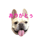 肉かつらおじさん♂さくらの日常③（個別スタンプ：7）