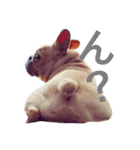 肉かつらおじさん♂さくらの日常③（個別スタンプ：8）