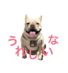 肉かつらおじさん♂さくらの日常③（個別スタンプ：12）
