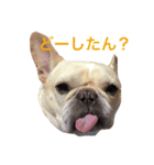 肉かつらおじさん♂さくらの日常③（個別スタンプ：14）