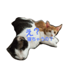 with my HACHI（個別スタンプ：1）
