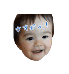 marinastamp（個別スタンプ：36）