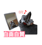 くーちゃん＆むーちゃんのスタンプ（個別スタンプ：10）