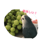 すみれ＆そら（個別スタンプ：3）