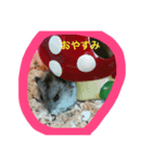 すみれ＆そら（個別スタンプ：7）