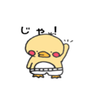 ピヨ太（個別スタンプ：4）