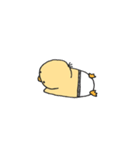 ピヨ太（個別スタンプ：13）