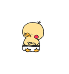 ピヨ太（個別スタンプ：20）