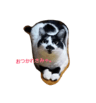 ちょびひげにゃんこ ゆい（個別スタンプ：3）