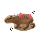 カピバラゆるっと（個別スタンプ：1）