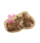 カピバラゆるっと（個別スタンプ：5）