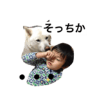 紀州犬と一緒（個別スタンプ：12）