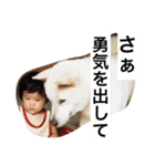 紀州犬と一緒（個別スタンプ：23）