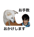 紀州犬と一緒（個別スタンプ：25）