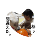 紀州犬と一緒（個別スタンプ：26）