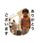 紀州犬と一緒（個別スタンプ：27）