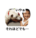 紀州犬と一緒（個別スタンプ：33）